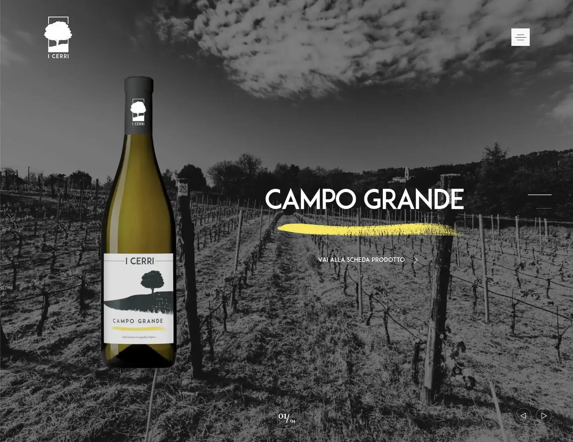 La pagina di un vino sul sito: «Campo Grande»